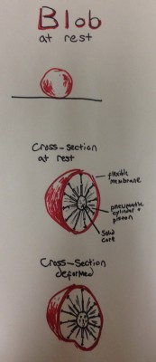 Blob cross-section