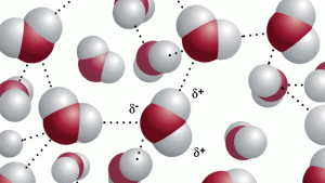 atom bond